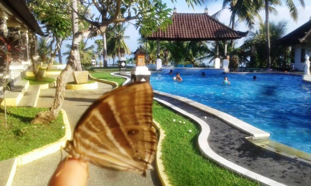 Bali Sunset Hotel Negara  ภายนอก รูปภาพ